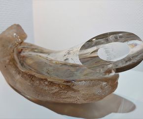 Where the Tide is Taking Me